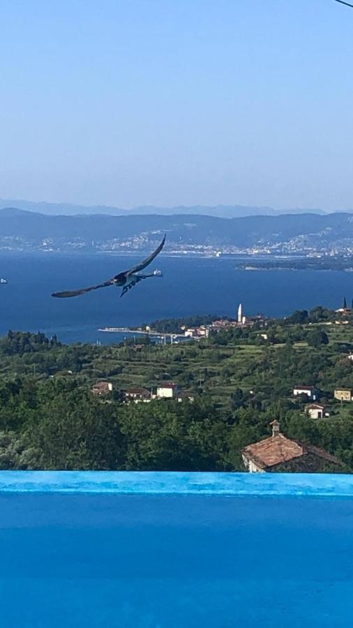 Apartmaji Meli Pu Izola Exteriér fotografie