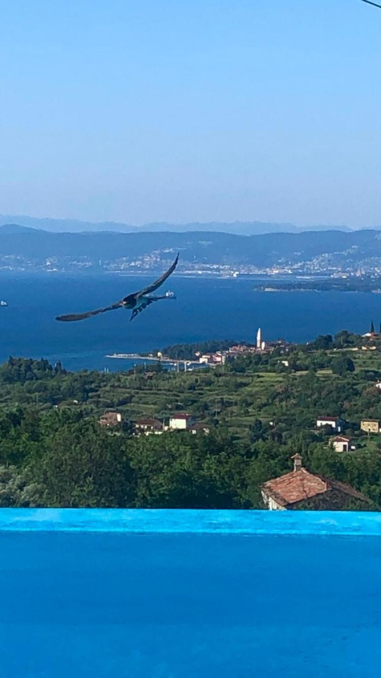 Apartmaji Meli Pu Izola Exteriér fotografie